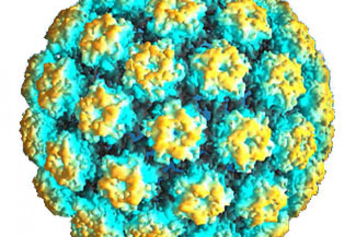 Papillomavirus Umano (HPV): ancora troppo poche le adolescenti italiane che si vaccinano