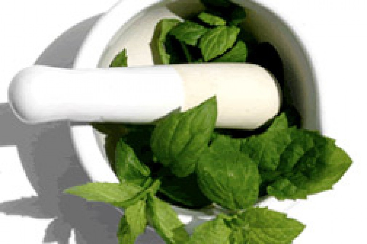 Stevia: le straordinarie proprietà di una pianta rivoluzionaria
