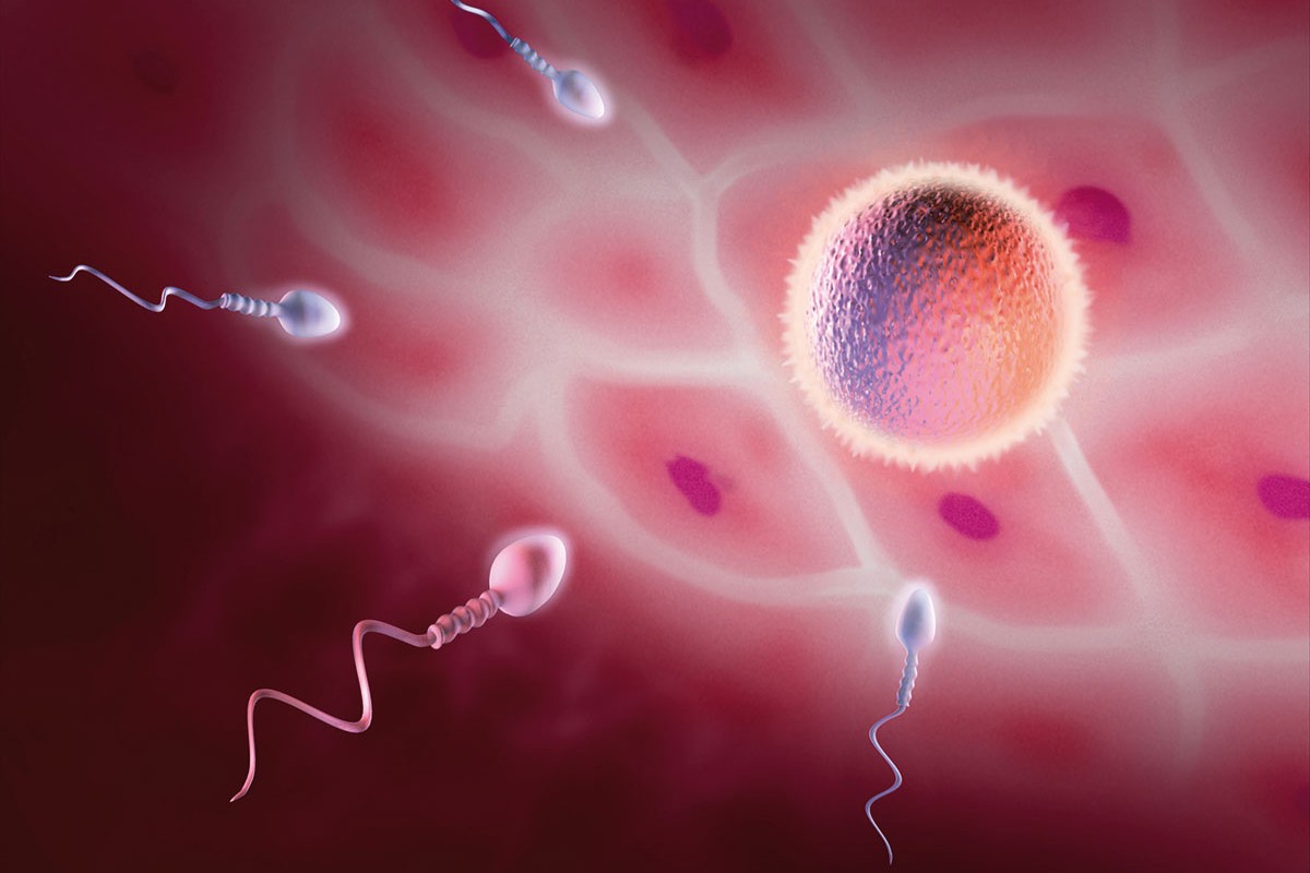 L’infertilità maschile una nuova tecnica per combatterla