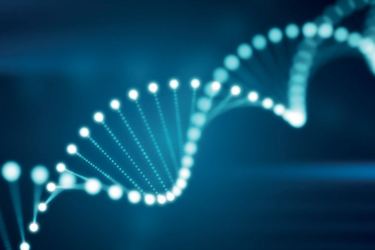 L’epigenetica ed il futuro di miamo