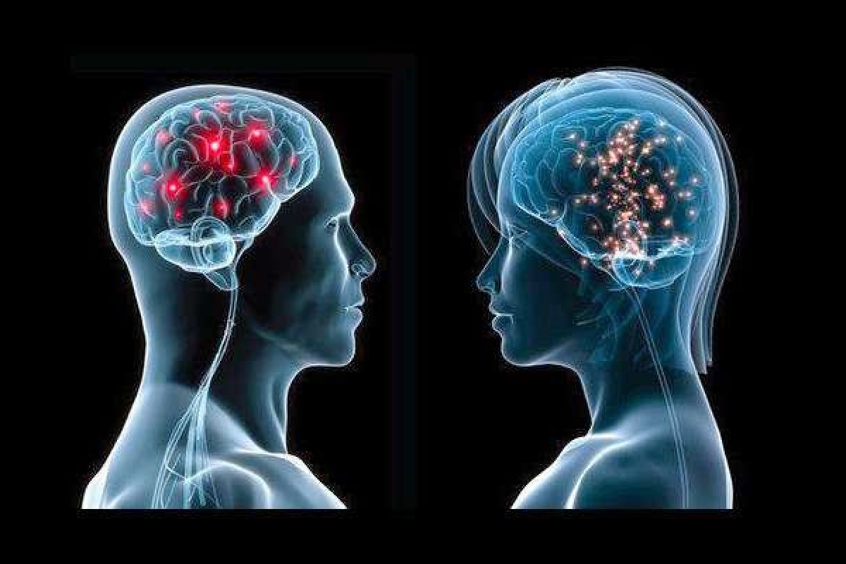 Riserva cognitiva: il ‘tesoretto’ cerebrale che protegge da traumi e malattie.
