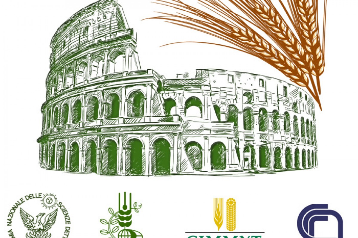 Pasta italiana a rischio?