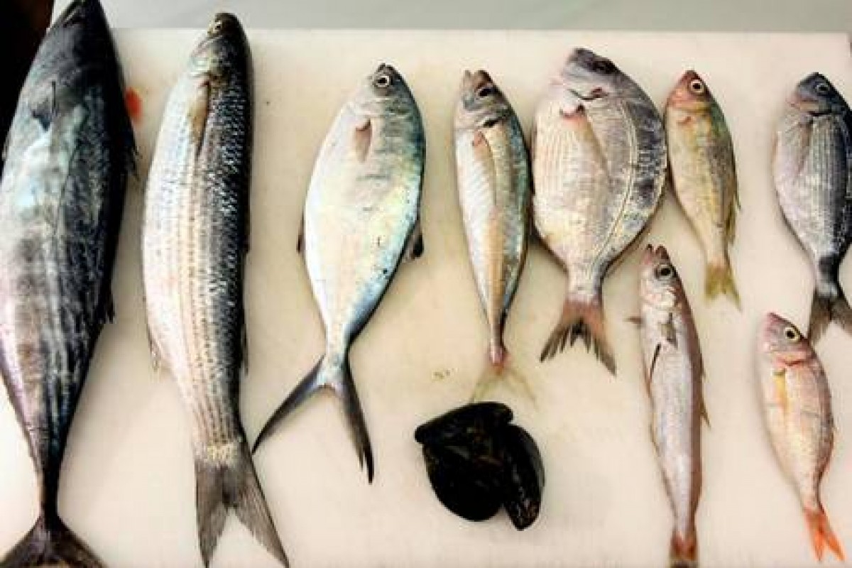 Tiroide: si cura mangiando pesce ed alghe