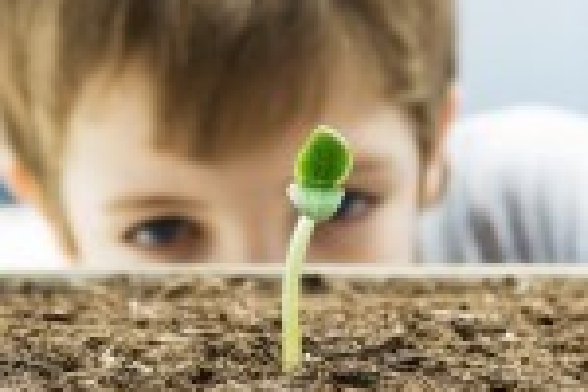 Sapere. Il Sapore del Sapere presenta: SAPERE ACADEMY