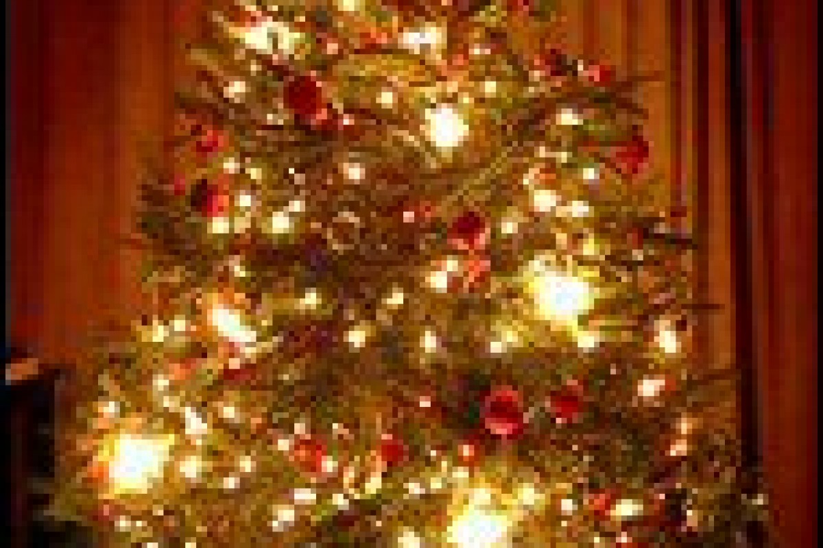 Consigli del Codacons: acquistate solo prodotti sicuri e spegnete l’albero prima di andare a letto