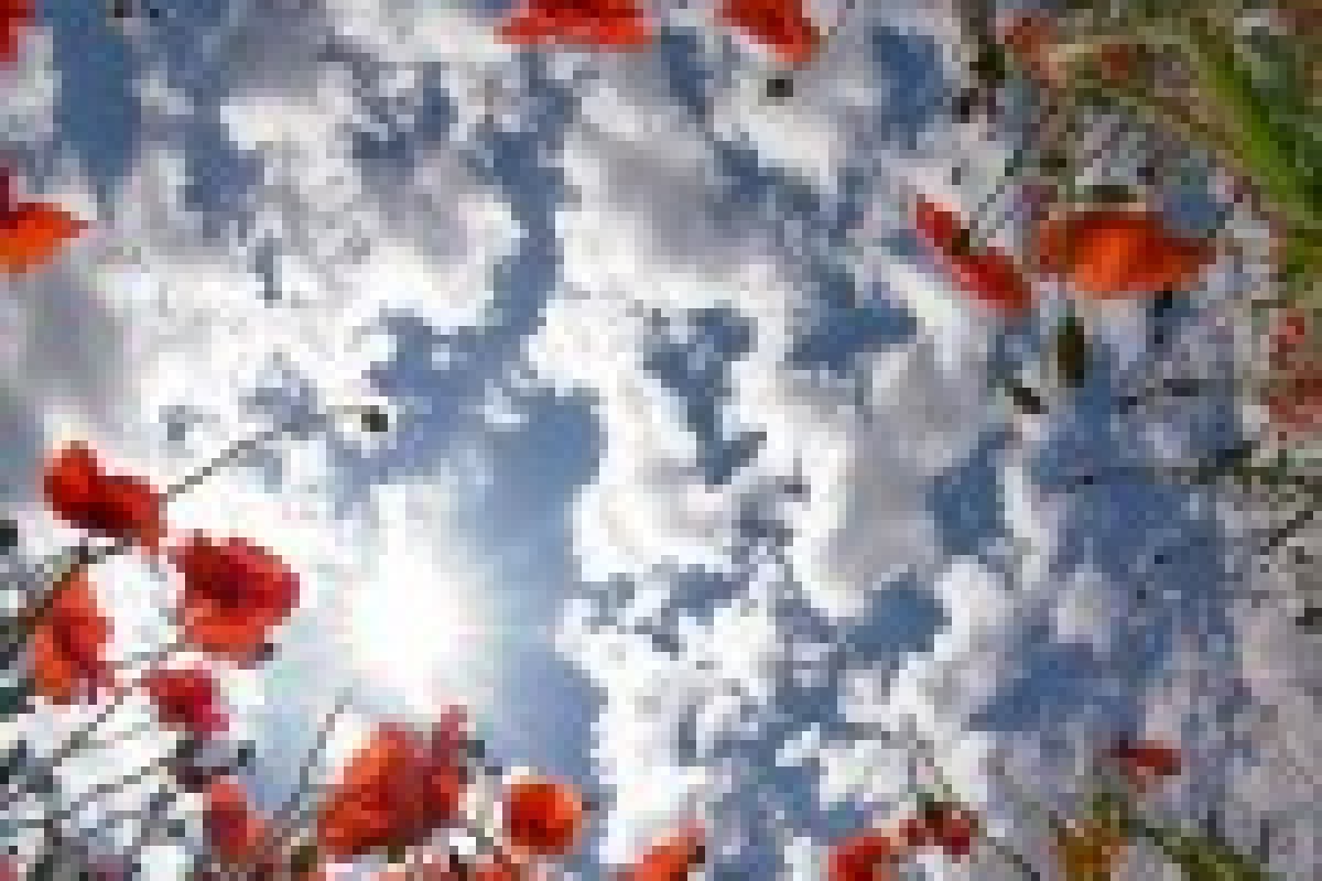 20 marzo 2015: eclissi di Sole, Equinozio di primavera e Giornata Mondiale della Felicità