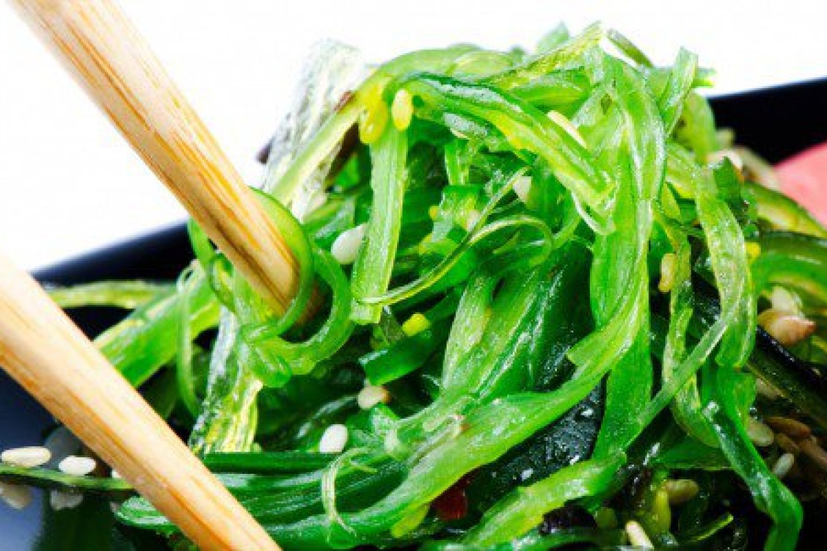 In cucina arrivano meduse, alghe e insetti