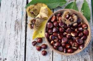 castagne-300x196