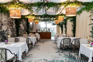 Ginkgo longevity restaurant(0)