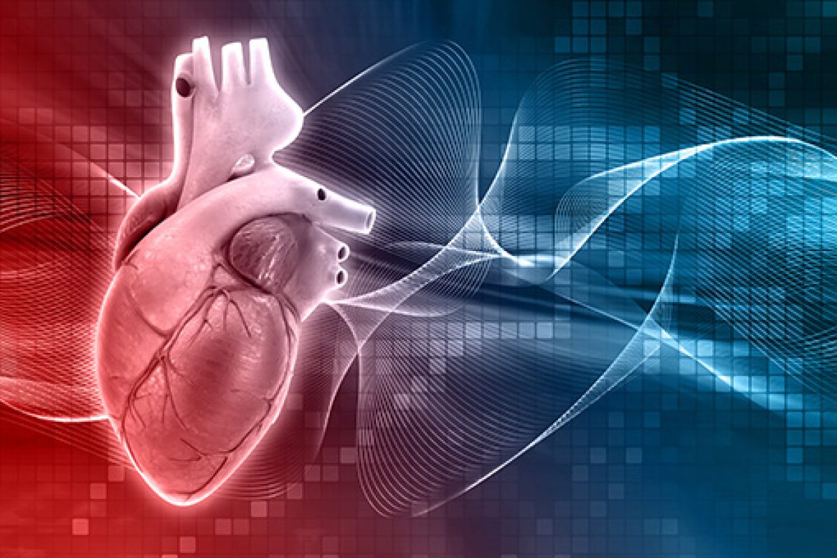 Il riscaldamento globale aumenta il rischio cardiovascolare